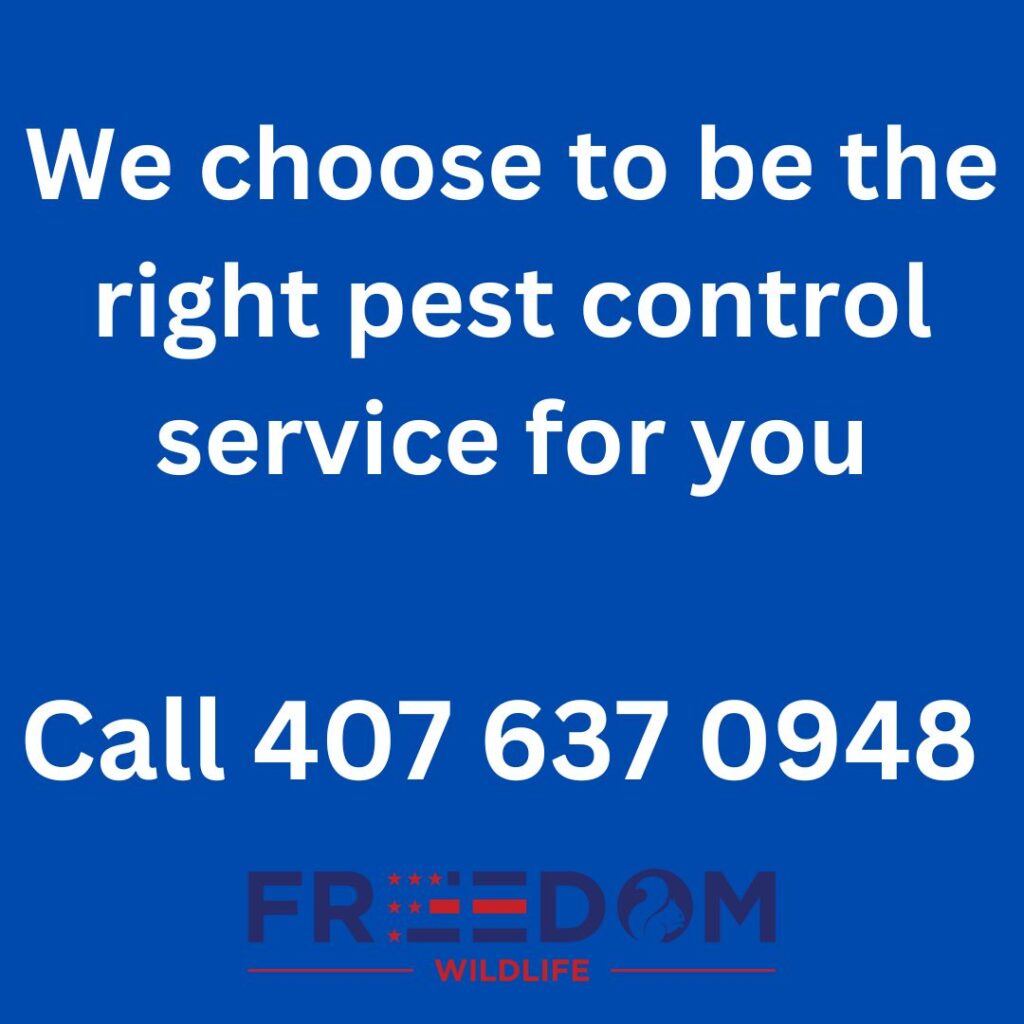 The Right Pest Control Service In Orlando