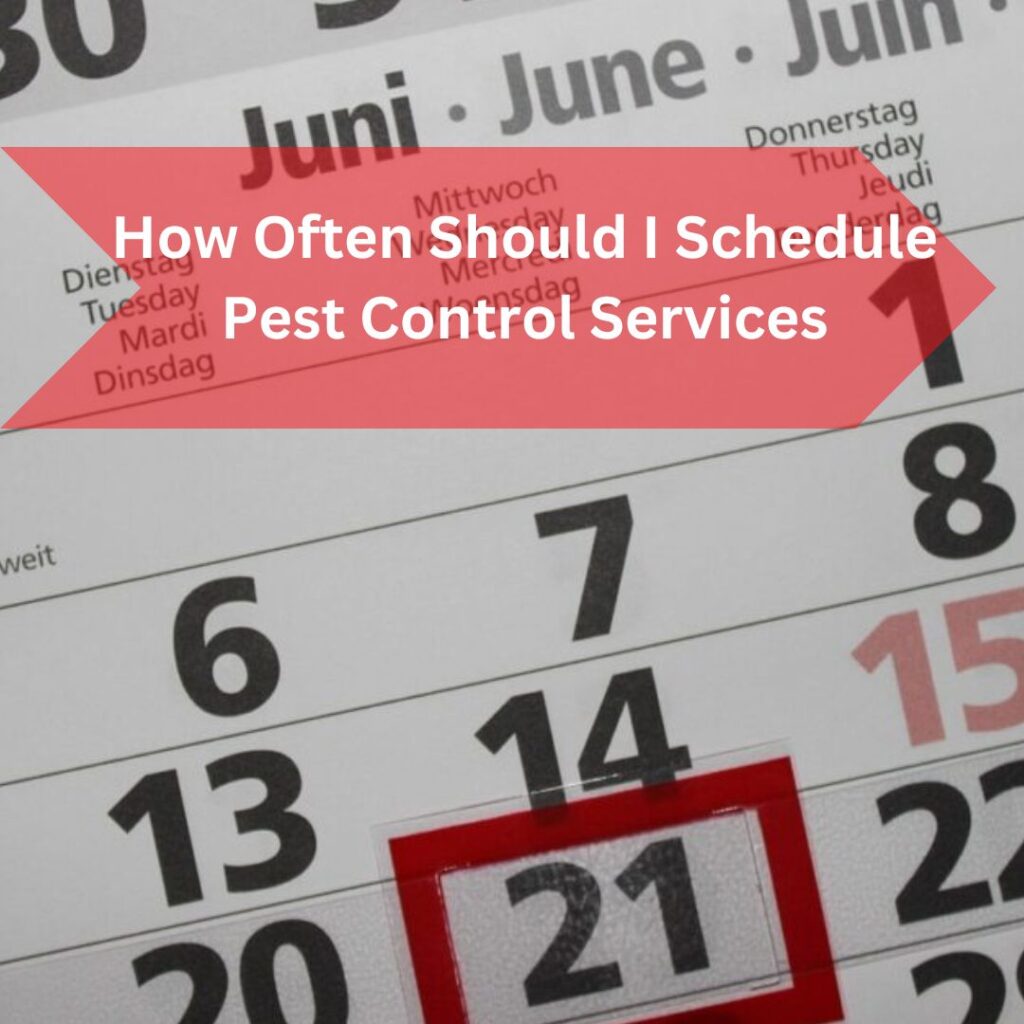 How Often Should I Schedule Pest Control Services