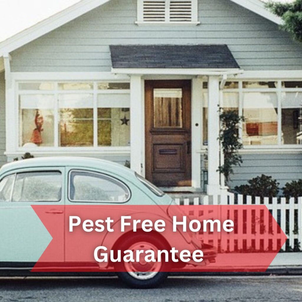 Pest Free Home Gaurantee